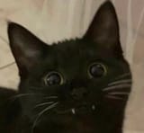 1749192154596217