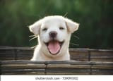 my genuine reaction