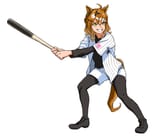 pokke baseball