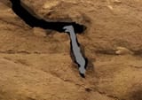 cave-diver-1