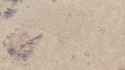 Starfield square planet_thumb.jpg