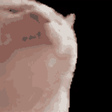 1747393390303102