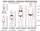 Human+proportions