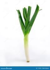 leek-isolated-111920-1353472726