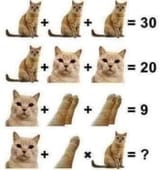 1739190087503915
