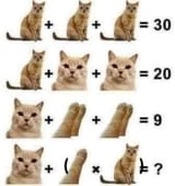 1752529227886628