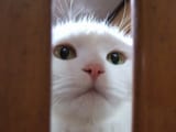 ontheoutside...lookingin