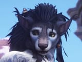 dubious worgen