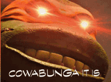 tmnt-cowabunga-it-is