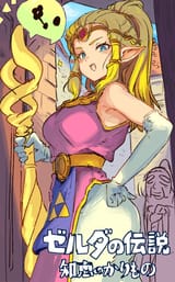 __princess_zelda_and_tri_the_legend_of_zelda_and_1_more_drawn_by_ishijimajirou__92a26b67606fcaa358f13ddb98f9ca0a