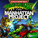 Ninja Gaiden with Turtles 