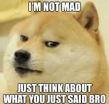 irritated doge
