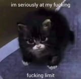 1727824669312246