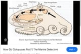 52342025-07-14 at 20-46-31 where does octopus pee - Google Search