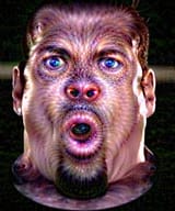 1735508481384717