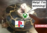 winning