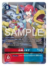 013file