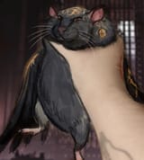 leaked-image-of-the-leveling-up-system-in-the-duskbloods-v0-rca7b7qfexse1