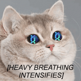 heavy-breathing-heavy-breathing-cat