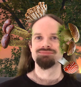 1628323939023