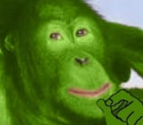 pepe monkey