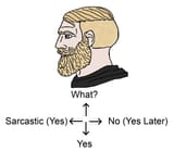 dialogue options