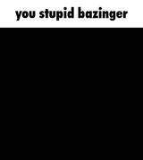 you-stupid-bazinger-meme-sheldon-computer