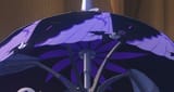 vivian parasol