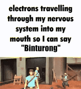 1725386859777376