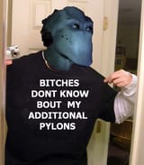 pylons