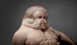 1870px-Piccinini_Graham_Project_Zero