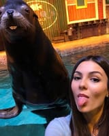 vj_seal
