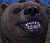 GW2_bearu