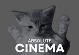 cinekat