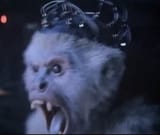 monke