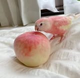 1708712635272246