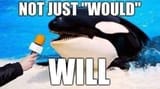 would will