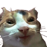 1603208347072