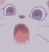 horrified_cat