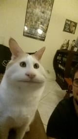 1566224361790