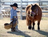 giddyup