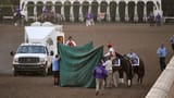 b54f5f32-7b42-43bd-a0ff-9f9ce79c47cf-mongolian_groom-min
