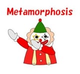 loose clown metamorphosis