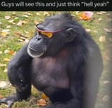 1696896557785109
