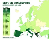olive oil