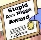 stupid ass nigga award