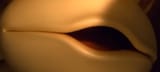 WHAT IS THAT WHAT THE FUCK IS THAT