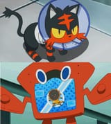 rotomdex
