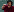 gif for ants