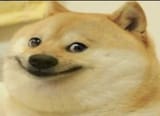 gZHJRr3